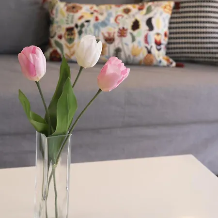 Lazaros Downtown * 라르나카